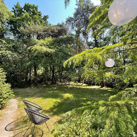 In Near Forest And Golf 젤험