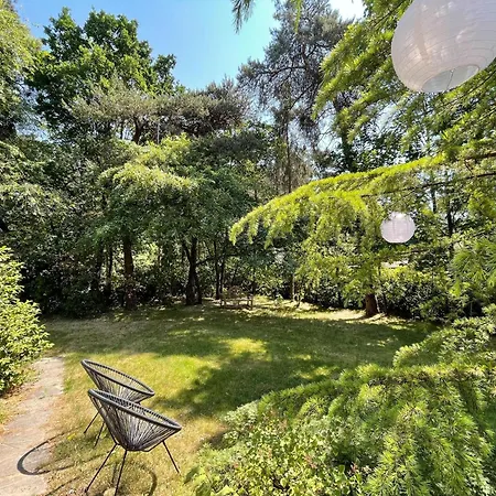 Lovely House In The Middle Of The Woods Zelhem