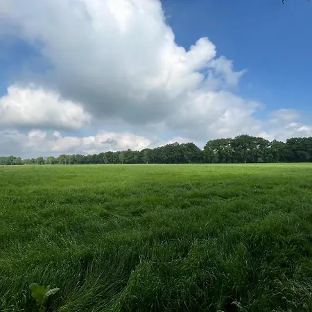 In Near Forest And Golf 펜션 *