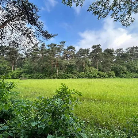 펜션 In Near Forest And Golf 젤험