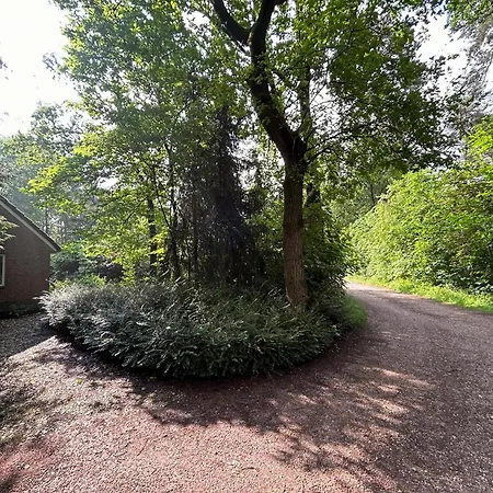 Lovely House In The Middle Of The Woods Zelhem