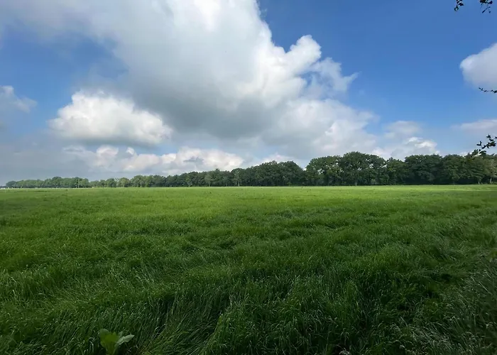 In Near Forest And Golf Dom wakacyjny *