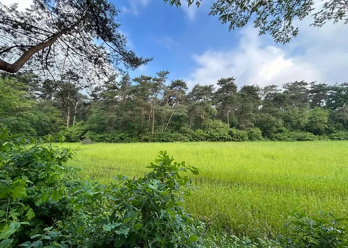 Dom wakacyjny In Near Forest And Golf Zelhem