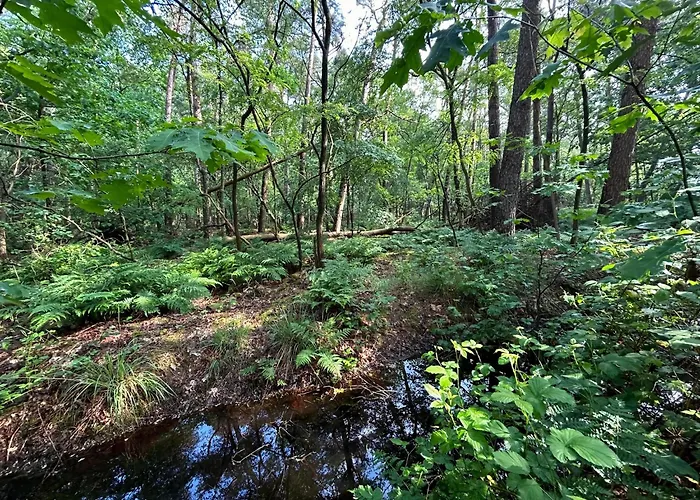 Dom wakacyjny In Near Forest And Golf