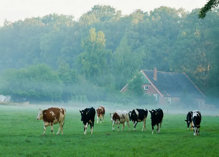 In Near Forest And Golf