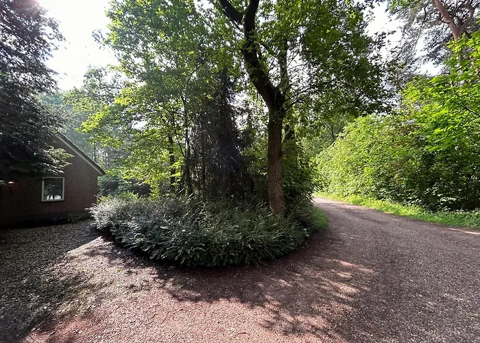 In Near Forest And Golf Zelhem