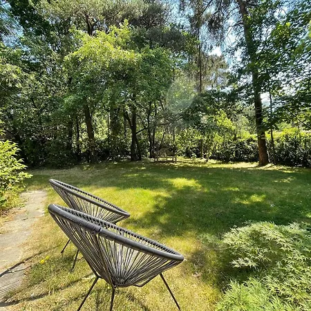 In Near Forest And Golf *