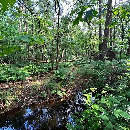 Casa de Férias In Near Forest And Golf