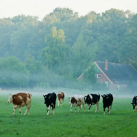 In Near Forest And Golf