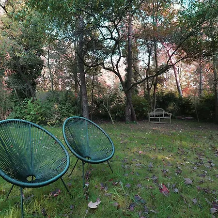 Casa de Férias In Near Forest And Golf